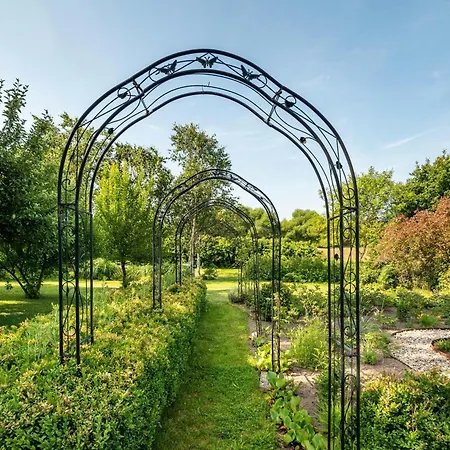 2 Schulze * Neustrelitz